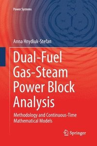 bokomslag Dual-Fuel Gas-Steam Power Block Analysis