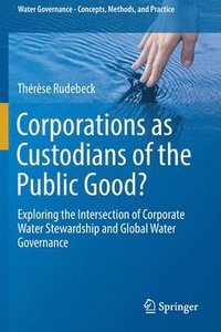 bokomslag Corporations as Custodians of the Public Good?