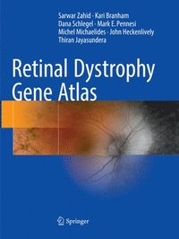 bokomslag Retinal Dystrophy Gene Atlas