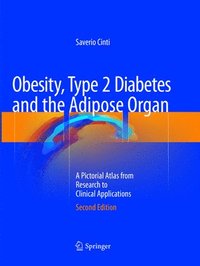 bokomslag Obesity, Type 2 Diabetes and the Adipose Organ