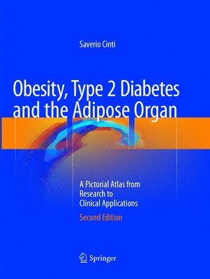 Saverio Cinti - Obesity, Type 2 Diabetes and the Adipose Organ, Häftad