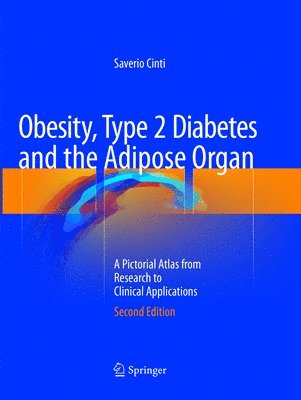 Obesity, Type 2 Diabetes and the Adipose Organ 1