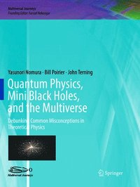 bokomslag Quantum Physics, Mini Black Holes, and the Multiverse