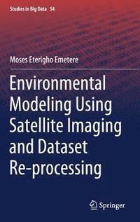 bokomslag Environmental Modeling Using Satellite Imaging and Dataset Re-processing
