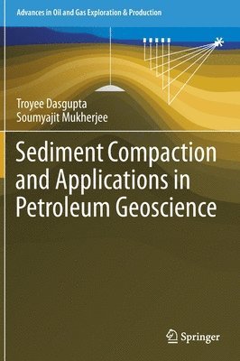 Sediment Compaction and Applications in Petroleum Geoscience 1