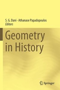 bokomslag Geometry in History