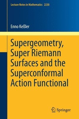 bokomslag Supergeometry, Super Riemann Surfaces and the Superconformal Action Functional