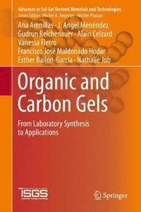 bokomslag Organic and Carbon Gels