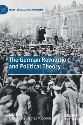 The German Revolution and Political Theory 1