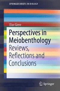 bokomslag Perspectives in Meiobenthology