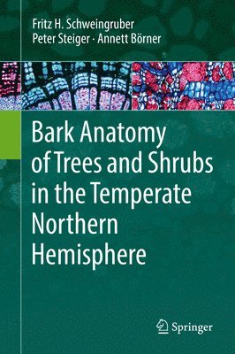 Bark Anatomy of Trees and Shrubs in the Temperate Northern Hemisphere 1