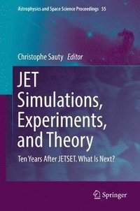bokomslag JET Simulations, Experiments, and Theory