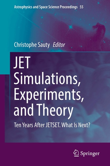 Christophe Sauty - JET Simulations, Experiments, and Theory, Inbunden