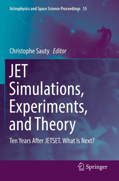 Christophe Sauty - JET Simulations, Experiments, and Theory, Häftad