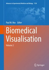 bokomslag Biomedical Visualisation