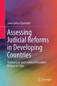bokomslag Assessing Judicial Reforms in Developing Countries