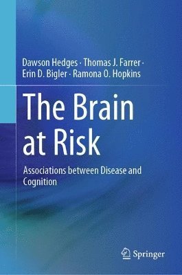bokomslag The Brain at Risk