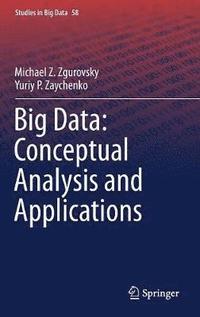 bokomslag Big Data: Conceptual Analysis and Applications