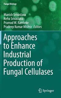 bokomslag Approaches to Enhance Industrial Production of Fungal Cellulases