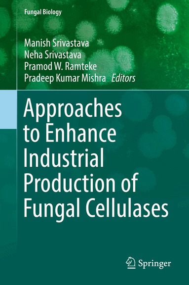 Manish Srivastava, Neha Srivastava, Pramod W. Ramteke, Pradeep Kumar Mishra - Approaches to Enhance Industrial Production of Fungal Cellulases, Inbunden