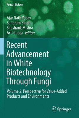 Ajar Nath Yadav, Sangram Singh - Recent Advancement in White Biotechnology Through Fungi: Volume 2: Perspective for Value-Added Products and Environments, Häftad
