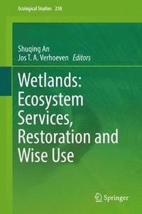 bokomslag Wetlands: Ecosystem Services, Restoration and Wise Use