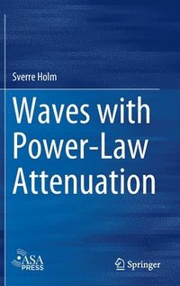 bokomslag Waves with Power-Law Attenuation