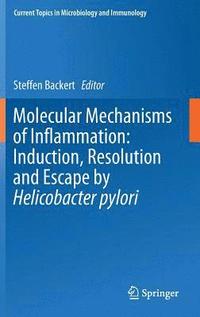 bokomslag Molecular Mechanisms of Inflammation: Induction, Resolution and Escape by Helicobacter pylori