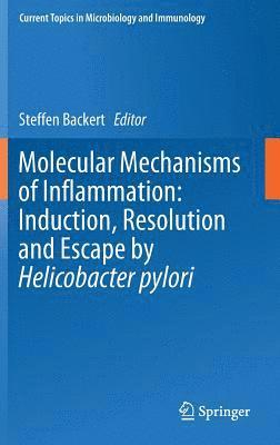 bokomslag Molecular Mechanisms of Inflammation: Induction, Resolution and Escape by Helicobacter pylori