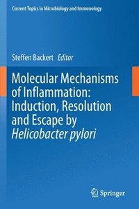 bokomslag Molecular Mechanisms of Inflammation: Induction, Resolution and Escape by Helicobacter pylori