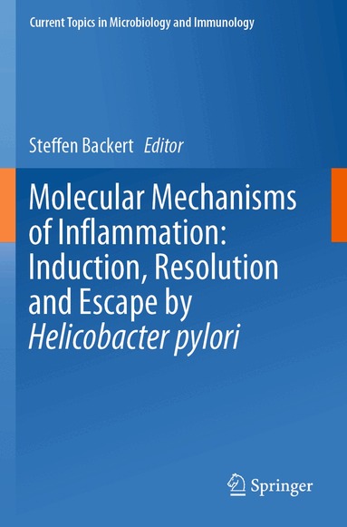 Steffen Backert - Molecular Mechanisms of Inflammation: Induction, Resolution and Escape by Helicobacter pylori, Häftad