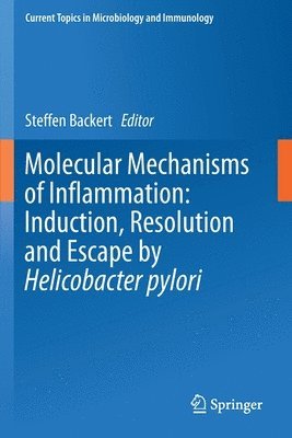 bokomslag Molecular Mechanisms of Inflammation: Induction, Resolution and Escape by Helicobacter pylori