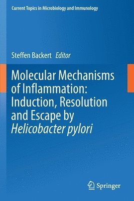 Steffen Backert - Molecular Mechanisms of Inflammation: Induction, Resolution and Escape by Helicobacter pylori, Häftad