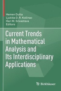 bokomslag Current Trends in Mathematical Analysis and Its Interdisciplinary Applications