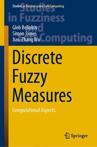 bokomslag Discrete Fuzzy Measures