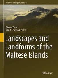 bokomslag Landscapes and Landforms of the Maltese Islands