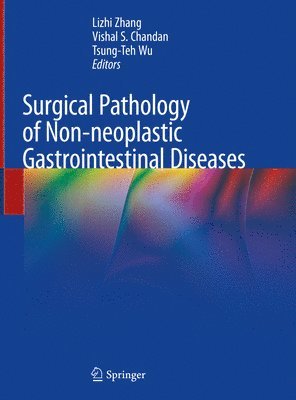 Lizhi Zhang, Vishal S. Chandan, Tsung-Teh Wu - Surgical Pathology of Non-neoplastic Gastrointestinal Diseases, Inbunden