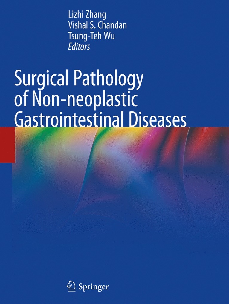 Lizhi Zhang, Vishal S. Chandan, Tsung-Teh Wu - Surgical Pathology of Non-neoplastic Gastrointestinal Diseases, Häftad