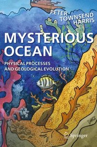 bokomslag Mysterious Ocean