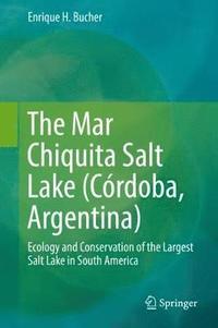 bokomslag The Mar Chiquita Salt Lake (Crdoba, Argentina)