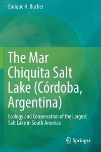 bokomslag The Mar Chiquita Salt Lake (Crdoba, Argentina)