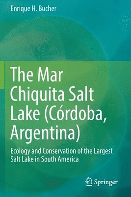 The Mar Chiquita Salt Lake (Crdoba, Argentina) 1