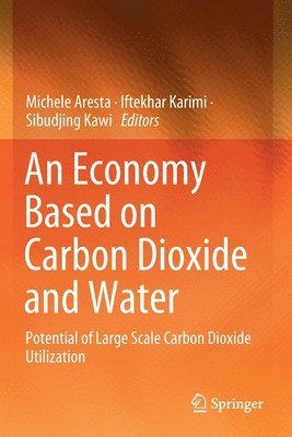 Michele Aresta, Iftekhar Karimi, Sibudjing Kawi - Economy Based on Carbon Dioxide and Water, Häftad