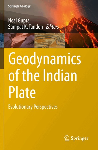 Neal Gupta, Sampat K. Tandon - Geodynamics of the Indian Plate, Häftad