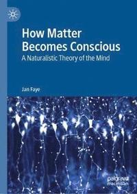 bokomslag How Matter Becomes Conscious