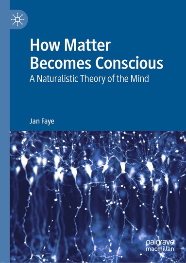 Jan Faye - How Matter Becomes Conscious, Inbunden