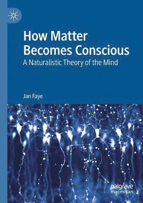 Jan Faye - How Matter Becomes Conscious: A Naturalistic Theory of the Mind, Häftad