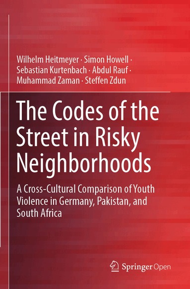 Wilhelm Heitmeyer, Simon Howell, Sebastian Kurtenbach, Abdul Rauf, Muhammad Zaman, Steffen Zdun - Codes of the Street in Risky Neighborhoods, Häftad