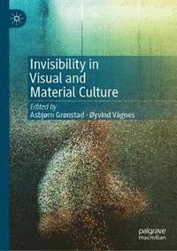 bokomslag Invisibility in Visual and Material Culture