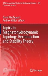 bokomslag Topics in Magnetohydrodynamic Topology, Reconnection and Stability Theory